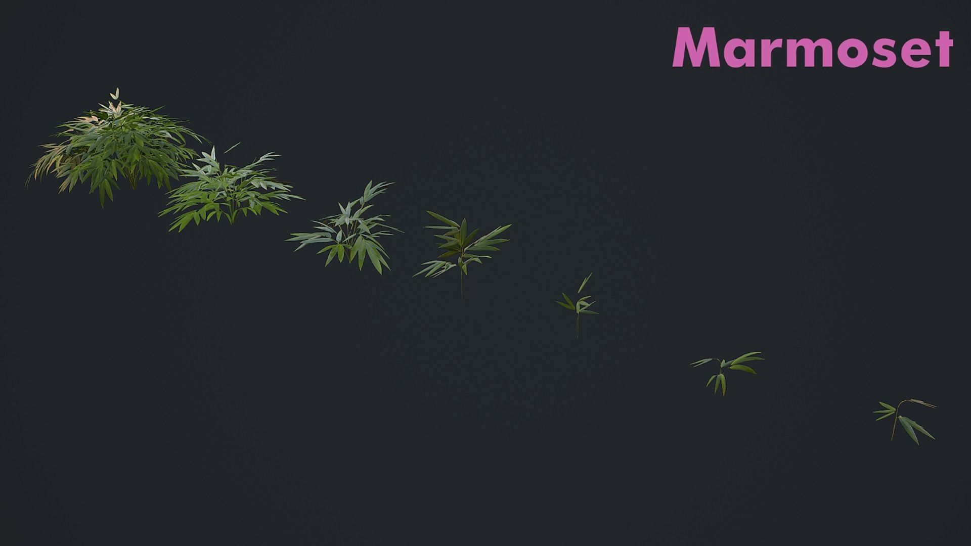 Bamboo Bush Pack Low-poly 3D model_11