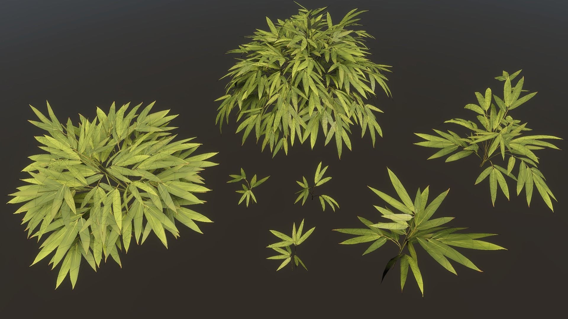 Bamboo Bush Pack Low-poly 3D model_4