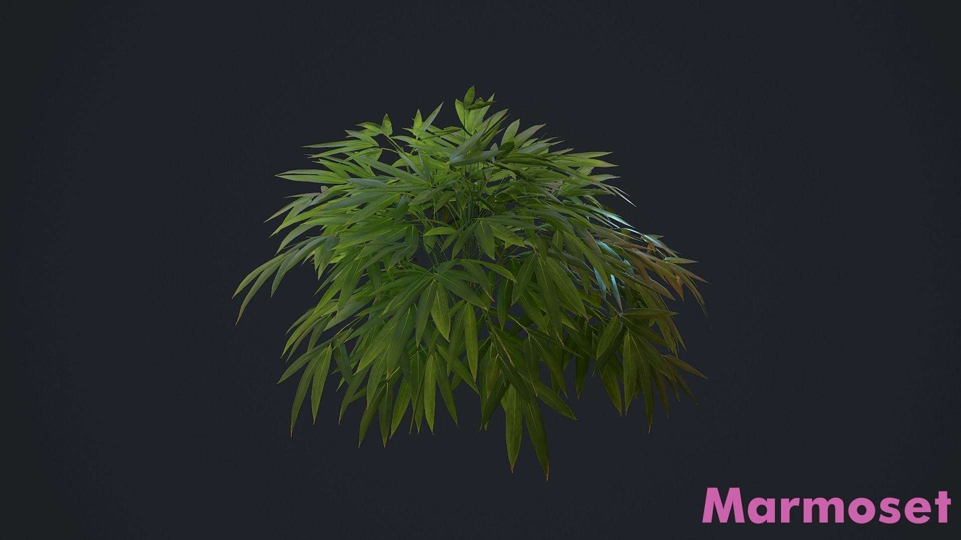 Bamboo Bush Pack Low-poly 3D model_10
