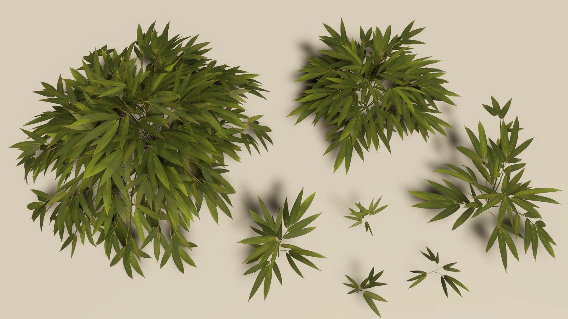 Bamboo Bush Pack Low-poly 3D model_17