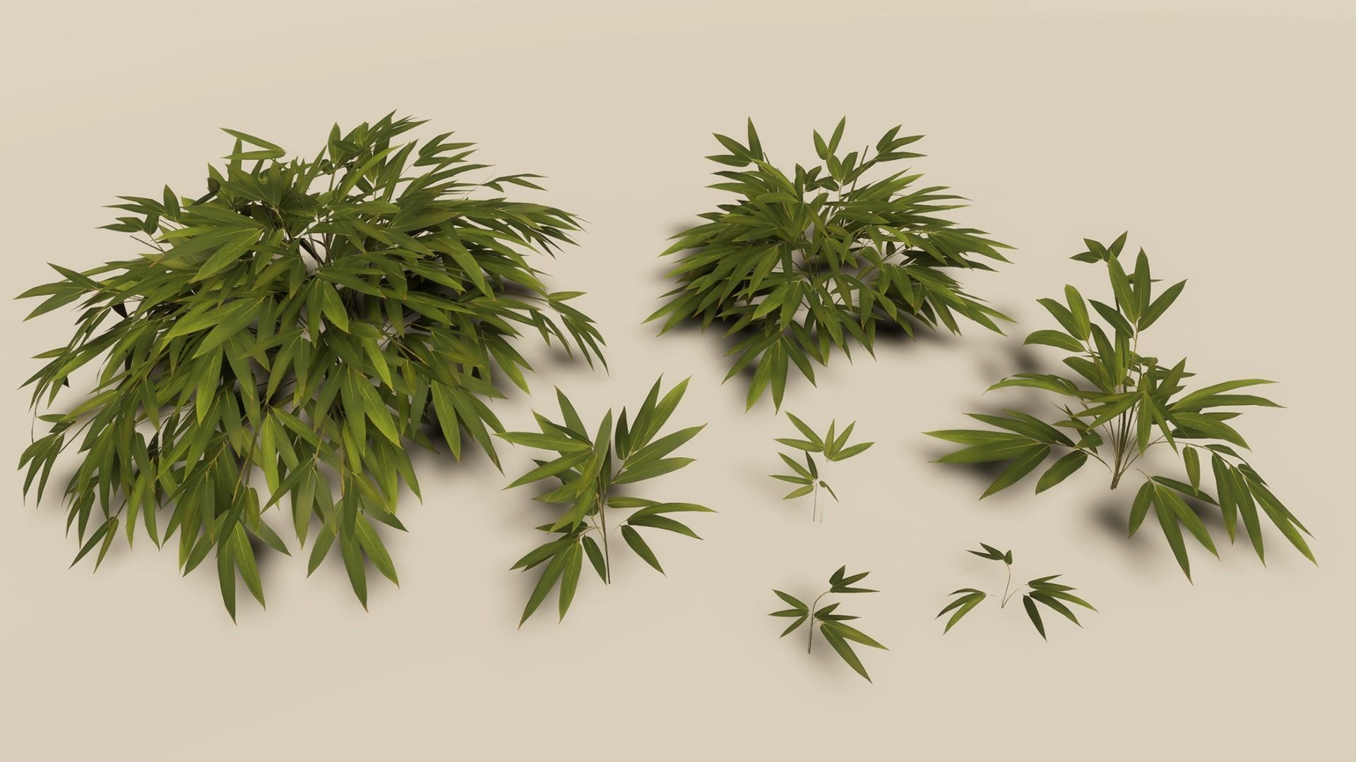 Bamboo Bush Pack Low-poly 3D model_2