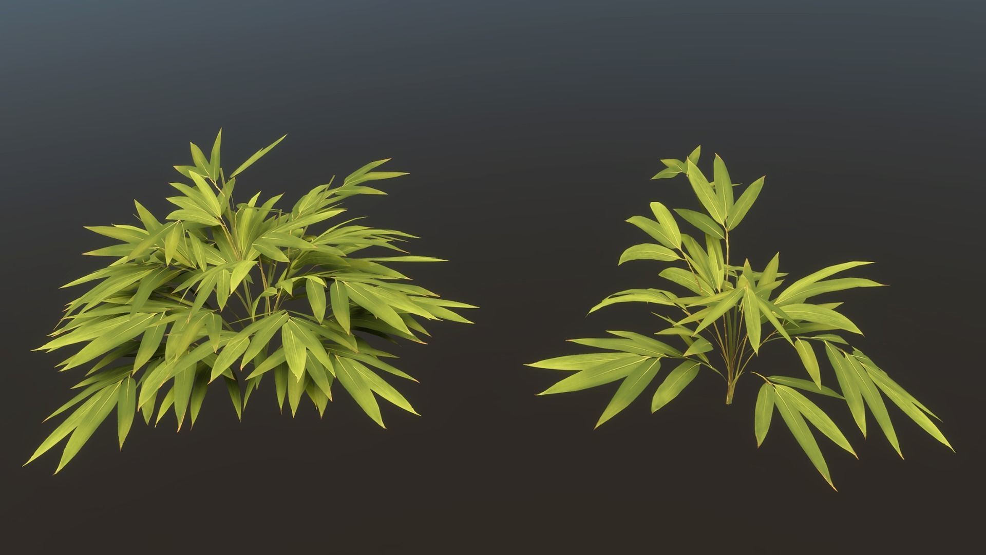 Bamboo Bush Pack Low-poly 3D model_5