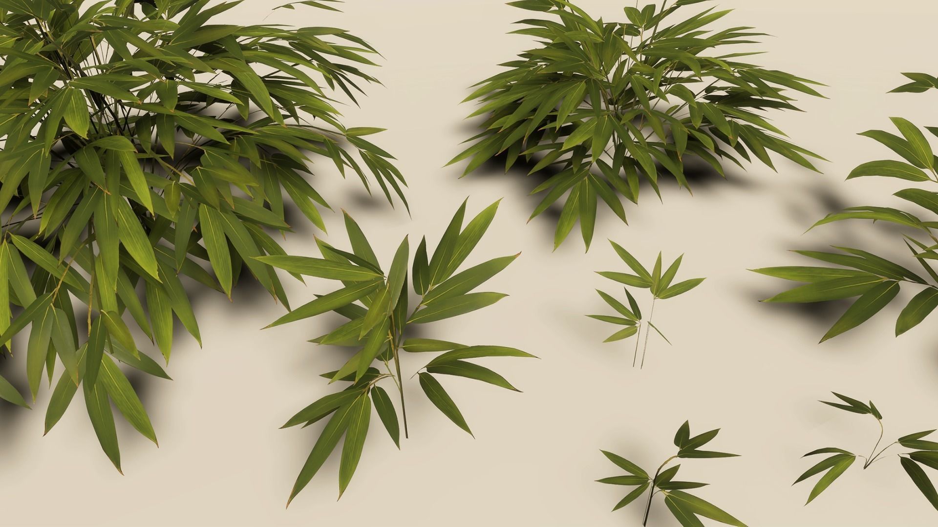 Bamboo Bush Pack Low-poly 3D model_3