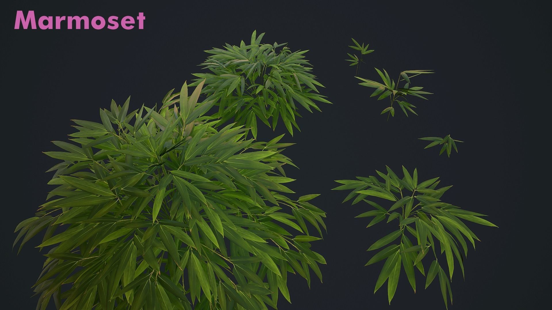Bamboo Bush Pack Low-poly 3D model_9
