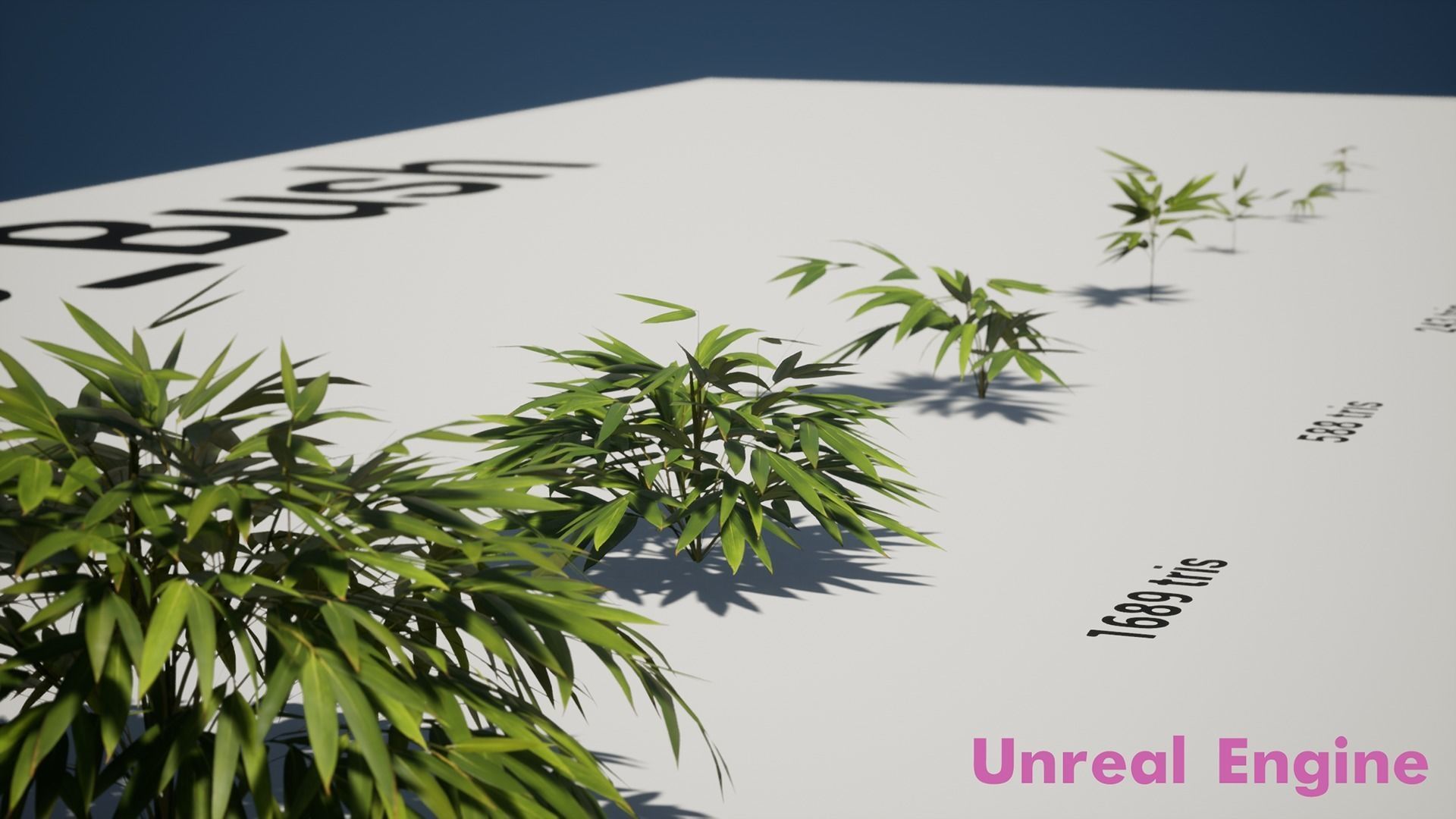 Bamboo Bush Pack Low-poly 3D model_16