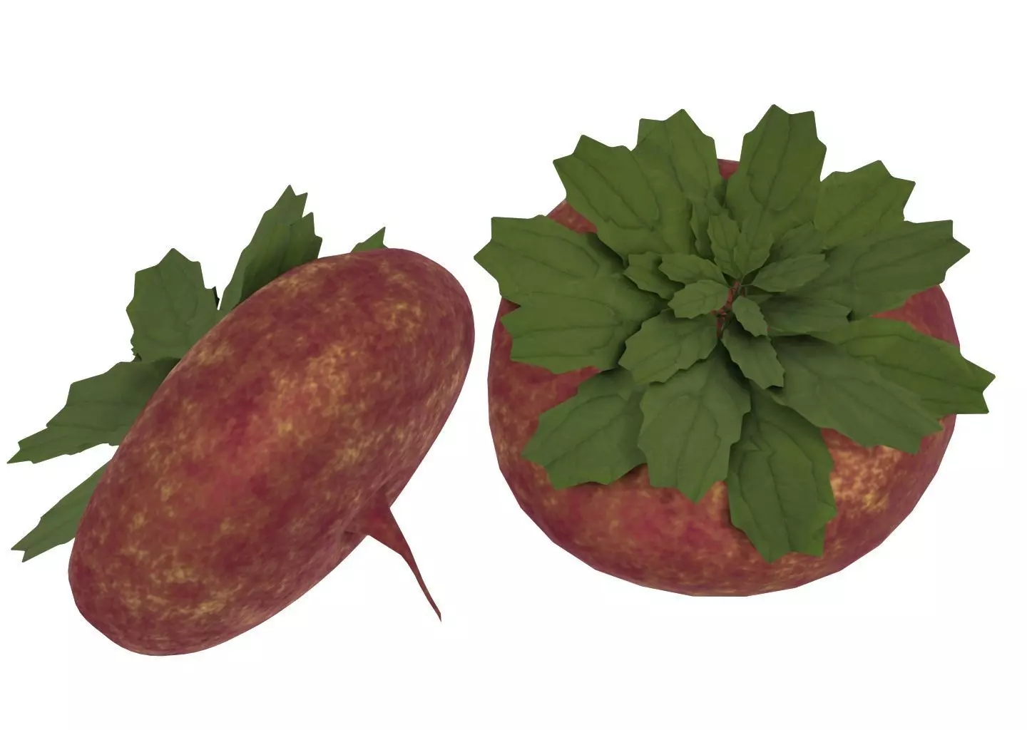 Turnip radish with leaves 3D model