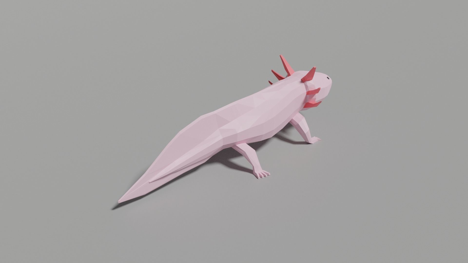 Low-poly Axolotl Low-poly 3D model_1