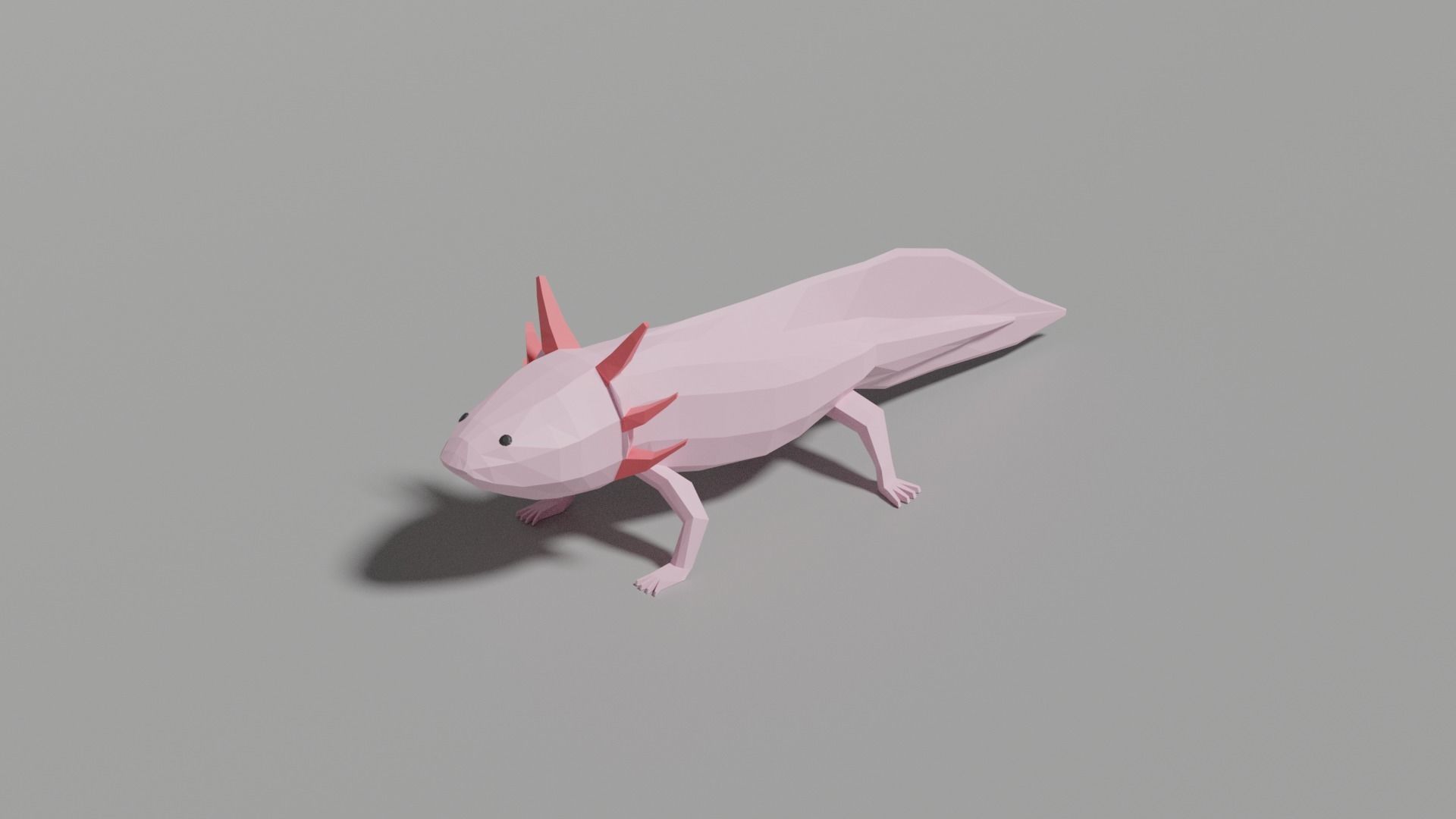 Low-poly Axolotl Low-poly 3D model_0