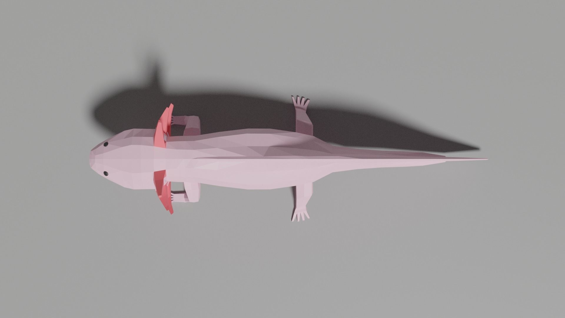 Low-poly Axolotl Low-poly 3D model_3