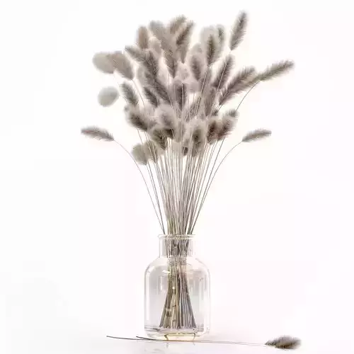 Dry flowers in modern vase 2
