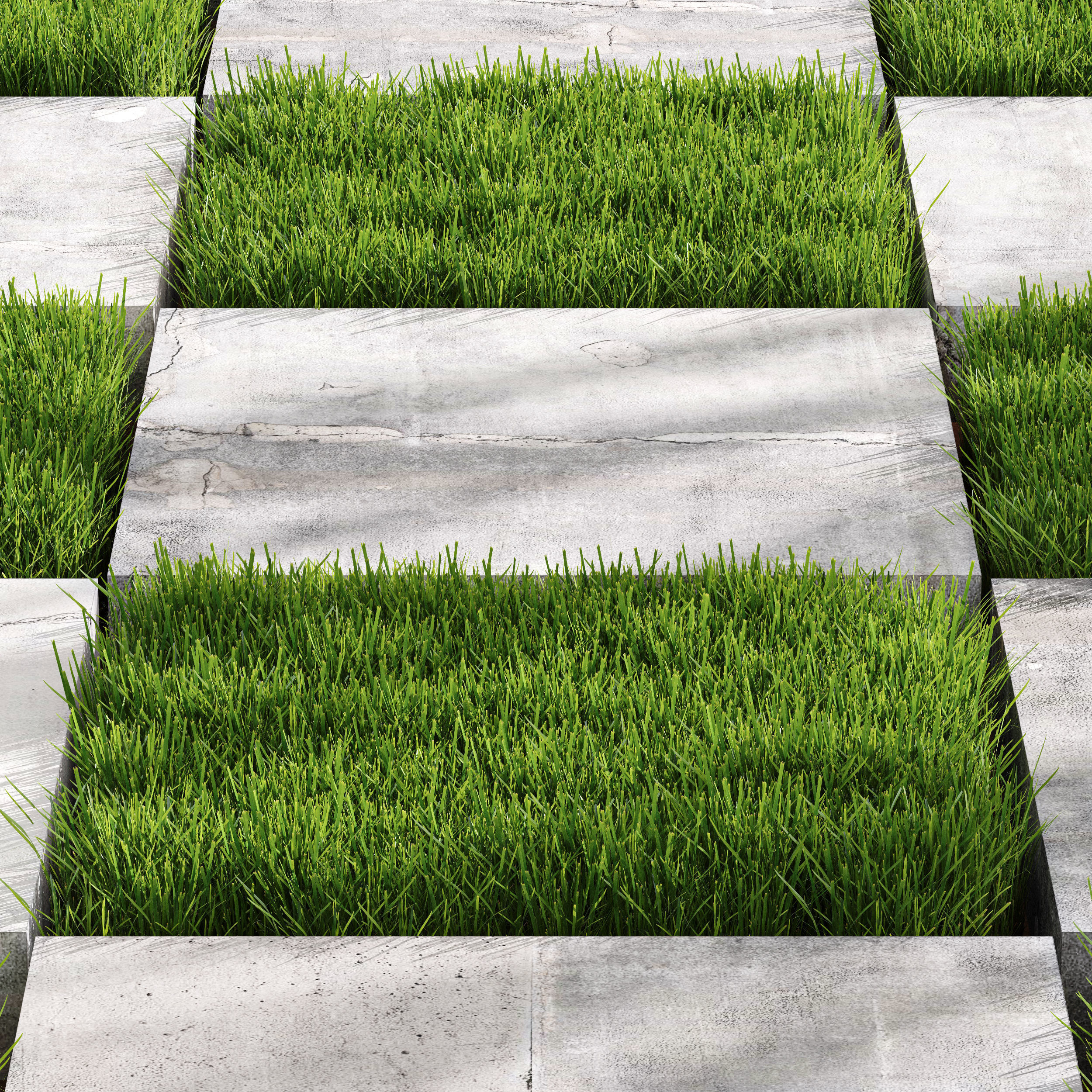 Decorative Floor Grass 02 3D model_2