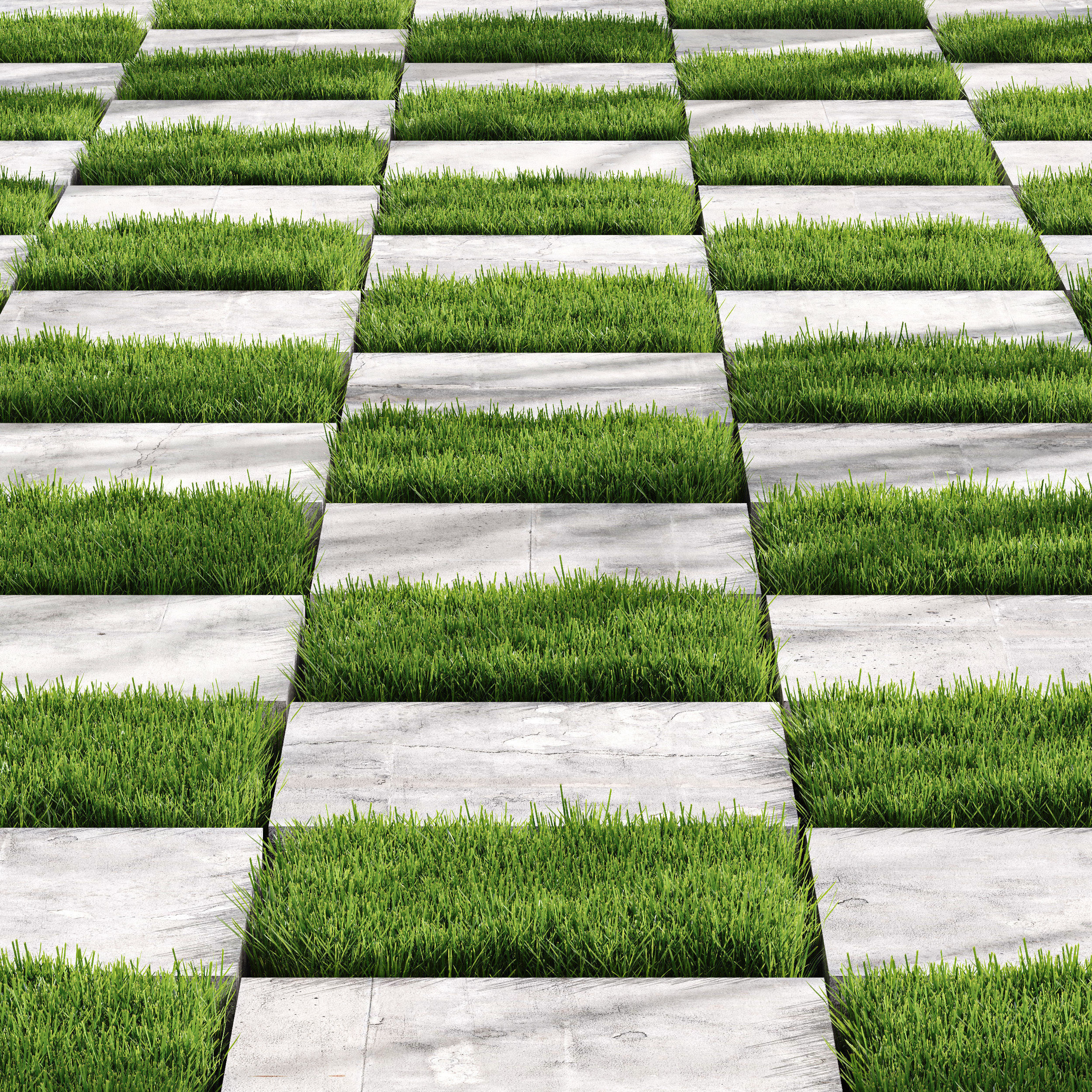 Decorative Floor Grass 02 3D model_1