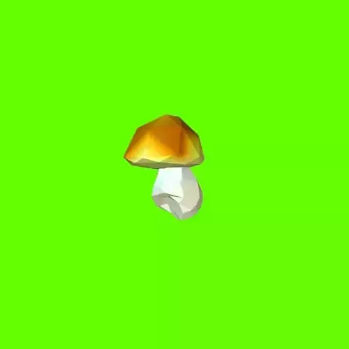Porcini mushroom 120230