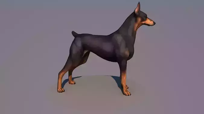 AMdog animations only c4d Low-poly 3D model