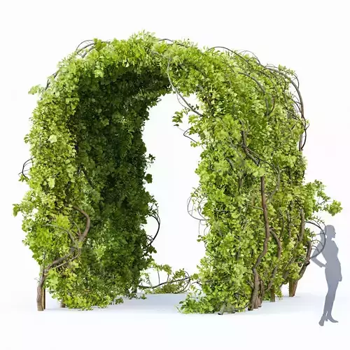 Magical Tree Tunnel Was Carved Out 3D model