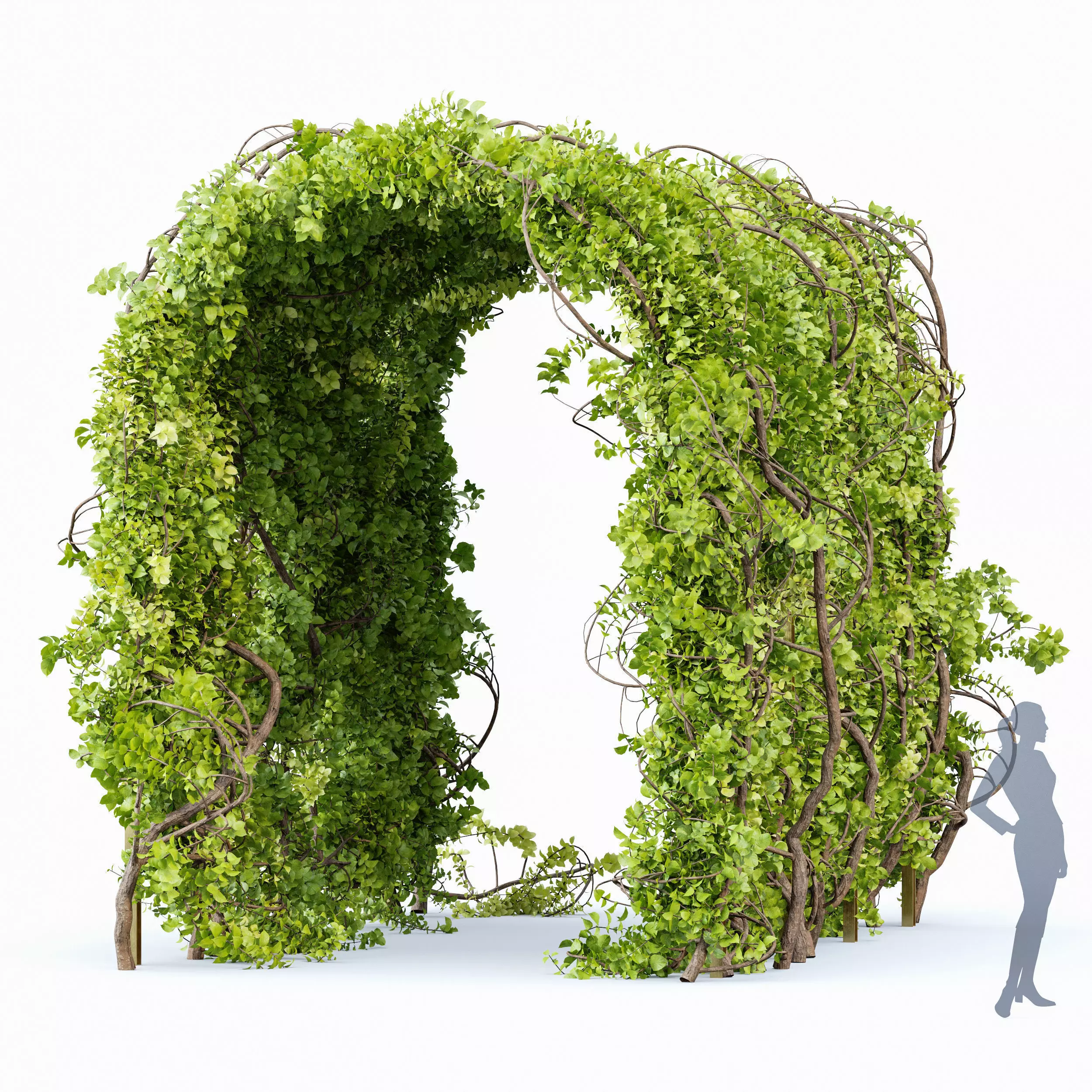 Magical Tree Tunnel Was Carved Out 3D model