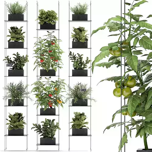 Vertical garden for the kitchen 69 3D model