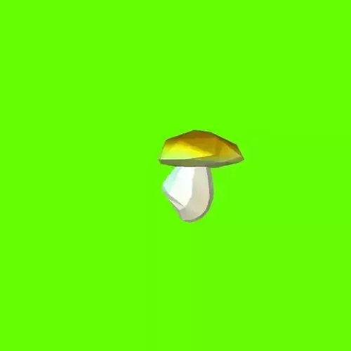 Porcini mushroom 120418