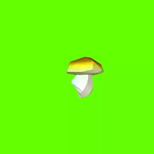 Porcini mushroom 120604