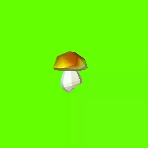Porcini mushroom 120723