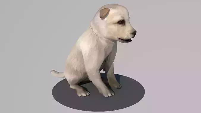 Puppy dog animations Low-poly 3D model