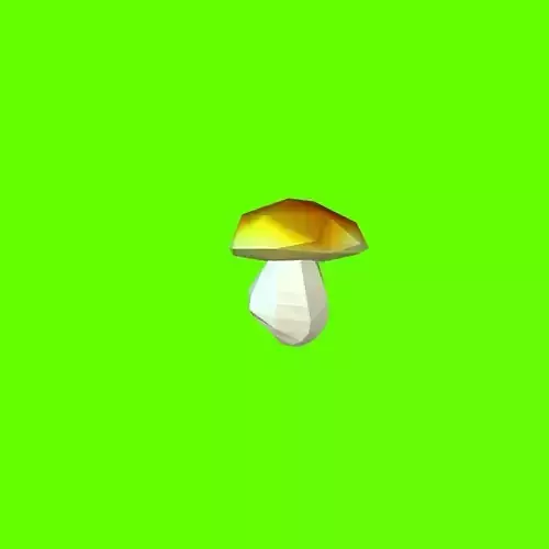 Porcini mushroom 120822