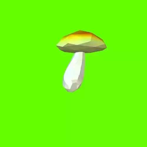 Porcini mushroom 155926