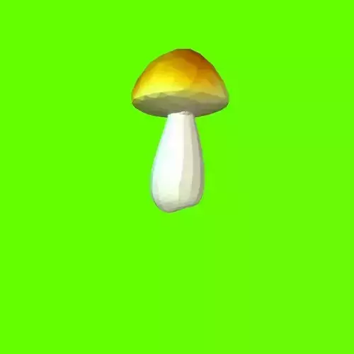 Porcini mushroom 160708