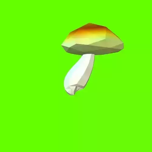 Porcini mushroom 160909