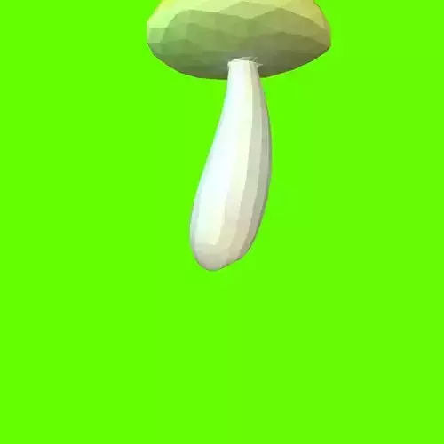 Porcini mushroom  163943