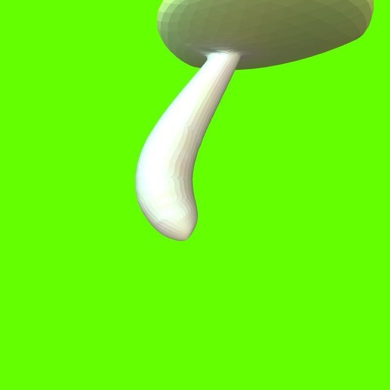 Porcini mushroom 164224 3D print model_13
