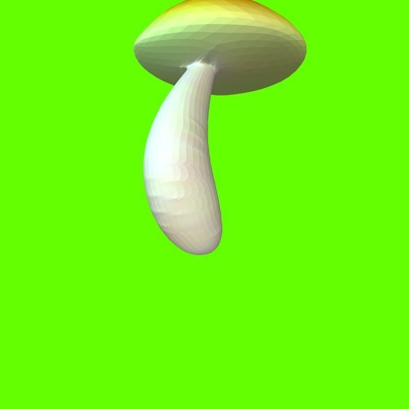 Porcini mushroom 164224 3D print model_4