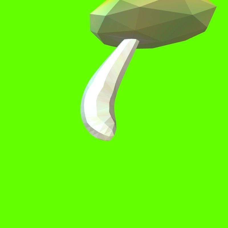 Porcini mushroom 164224 3D print model_14