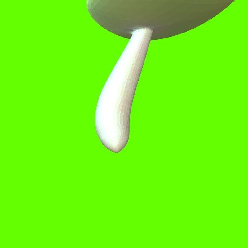 Porcini mushroom 164224 3D print model_16