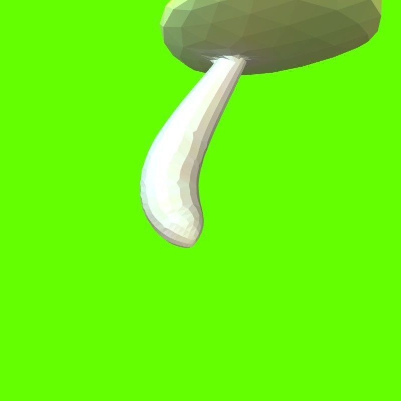 Porcini mushroom 164224 3D print model_12