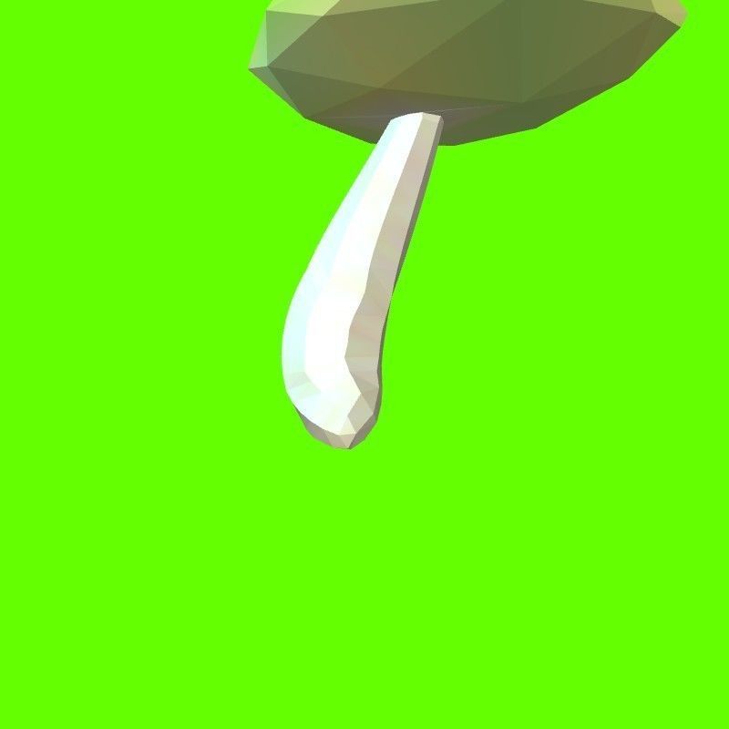 Porcini mushroom 164224 3D print model_17