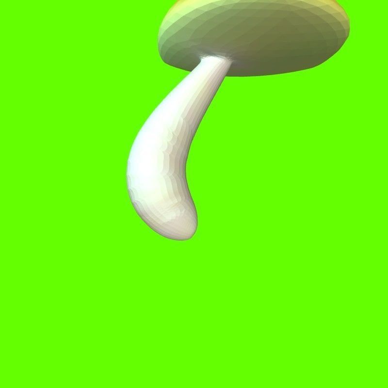 Porcini mushroom 164224 3D print model_10
