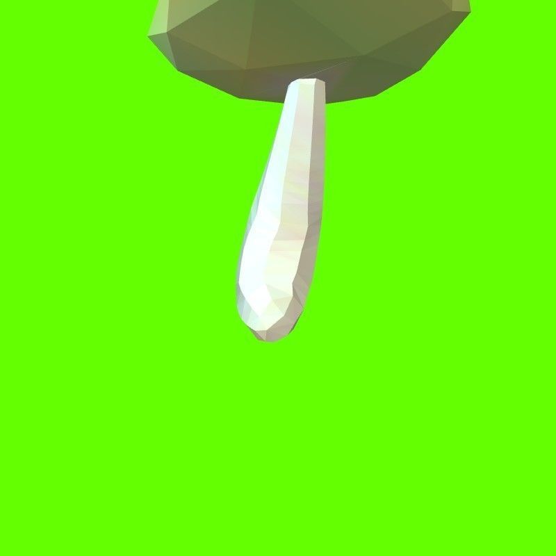 Porcini mushroom 164224 3D print model_20