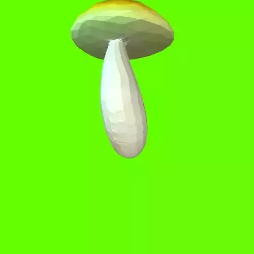 Porcini mushroom 164224