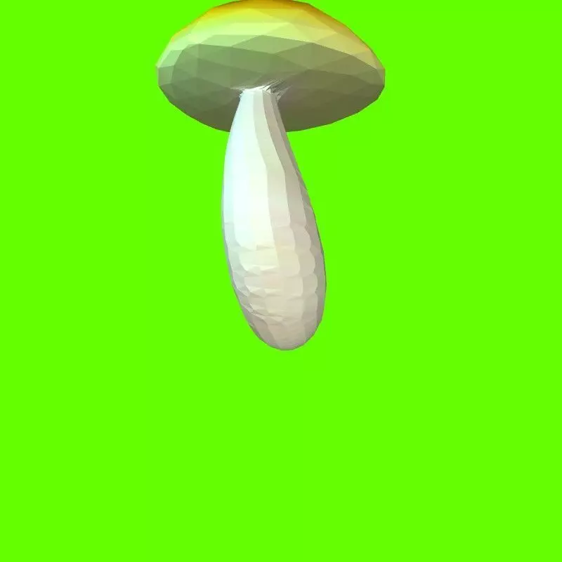 Porcini mushroom 164224 3D print model_0