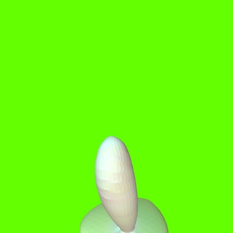 Porcini mushroom 164224 3D print model_28