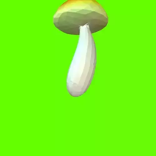 Porcini mushroom  164519