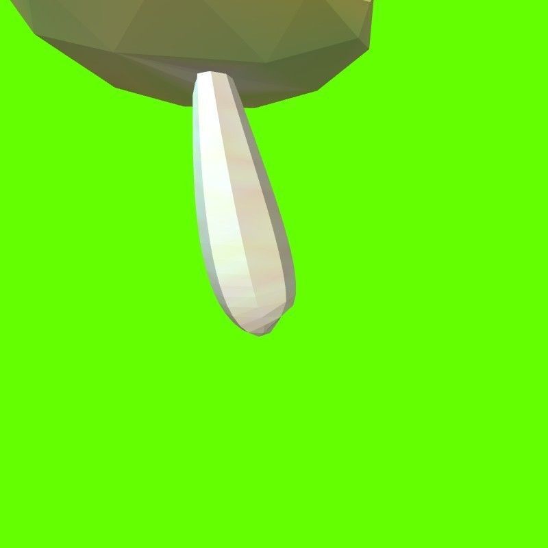 Porcini mushroom 164824 3D print model_5