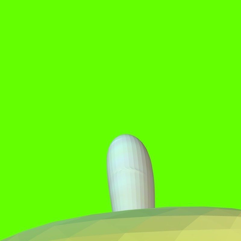 Porcini mushroom 164824 3D print model_31