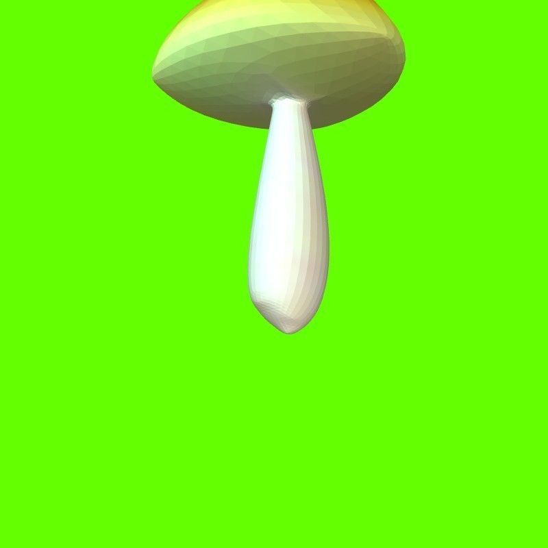 Porcini mushroom 164824 3D print model_19