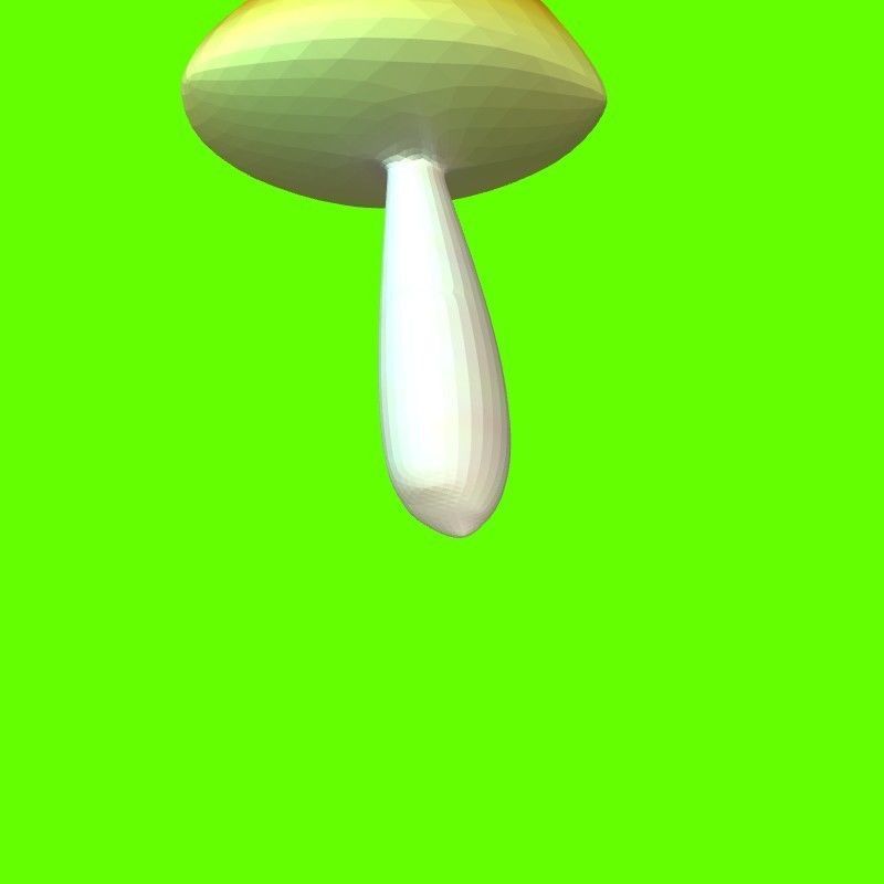 Porcini mushroom 164824 3D print model_16