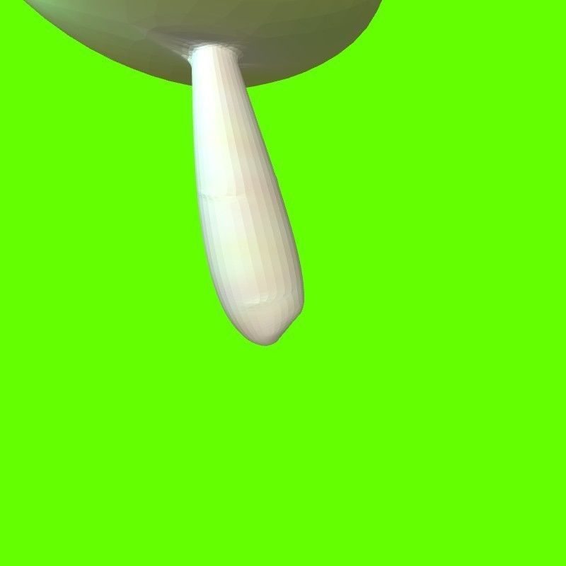 Porcini mushroom 164824 3D print model_4