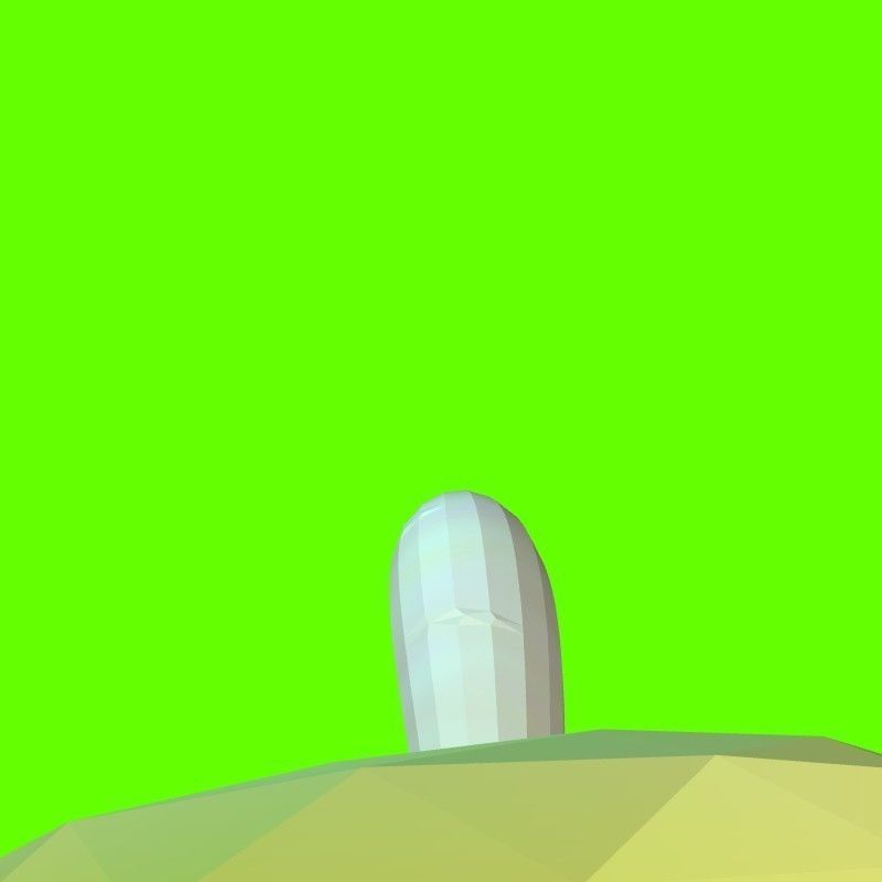 Porcini mushroom 164824 3D print model_30