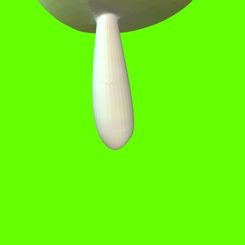 Porcini mushroom 164824 3D print model_1