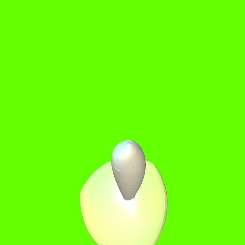 Porcini mushroom 164824 3D print model_25